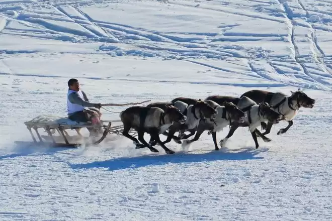 From Polar Ural Mountains To Yamal Tundra