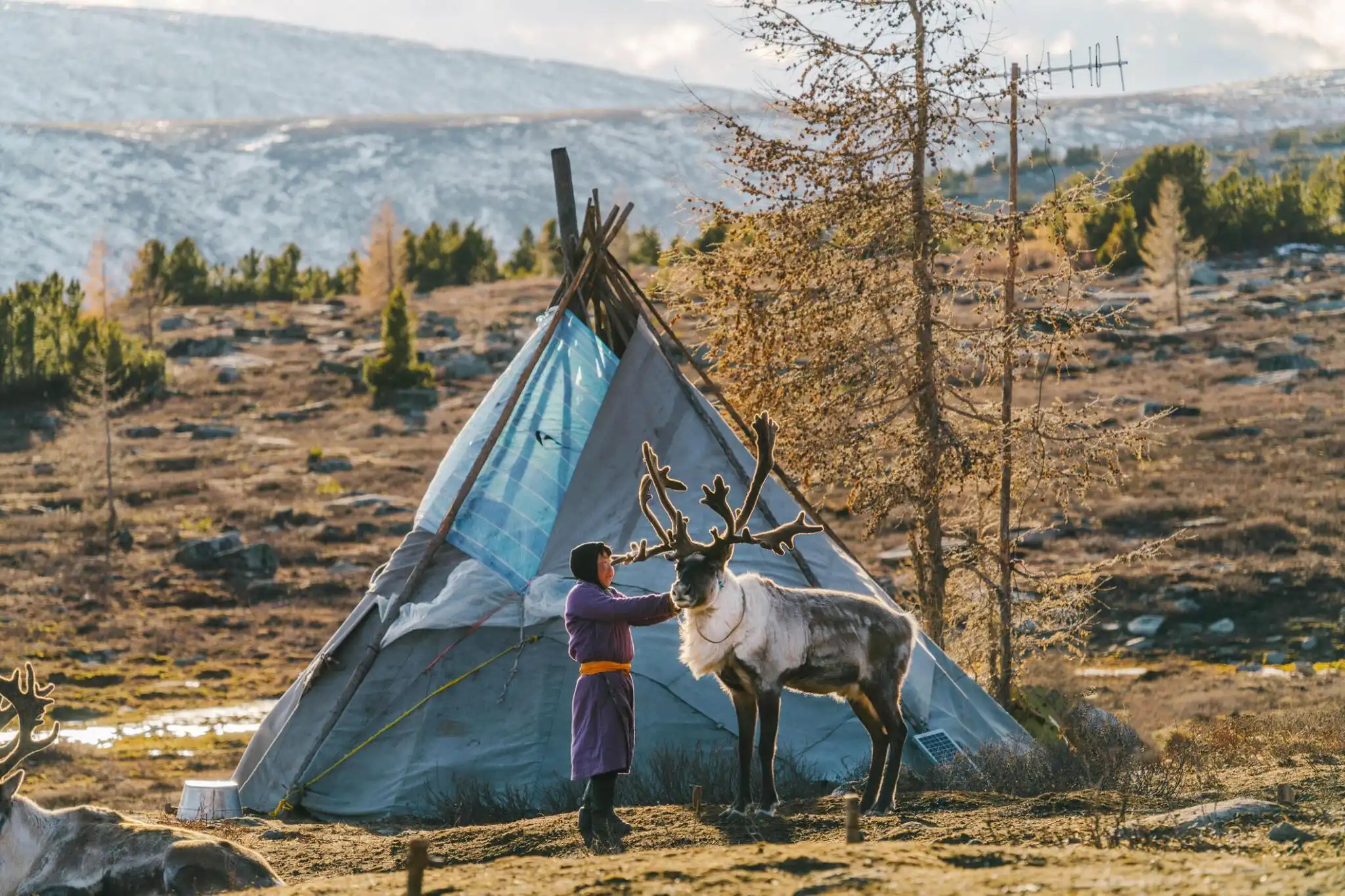 From Steppes To Taiga  12 Days Tour