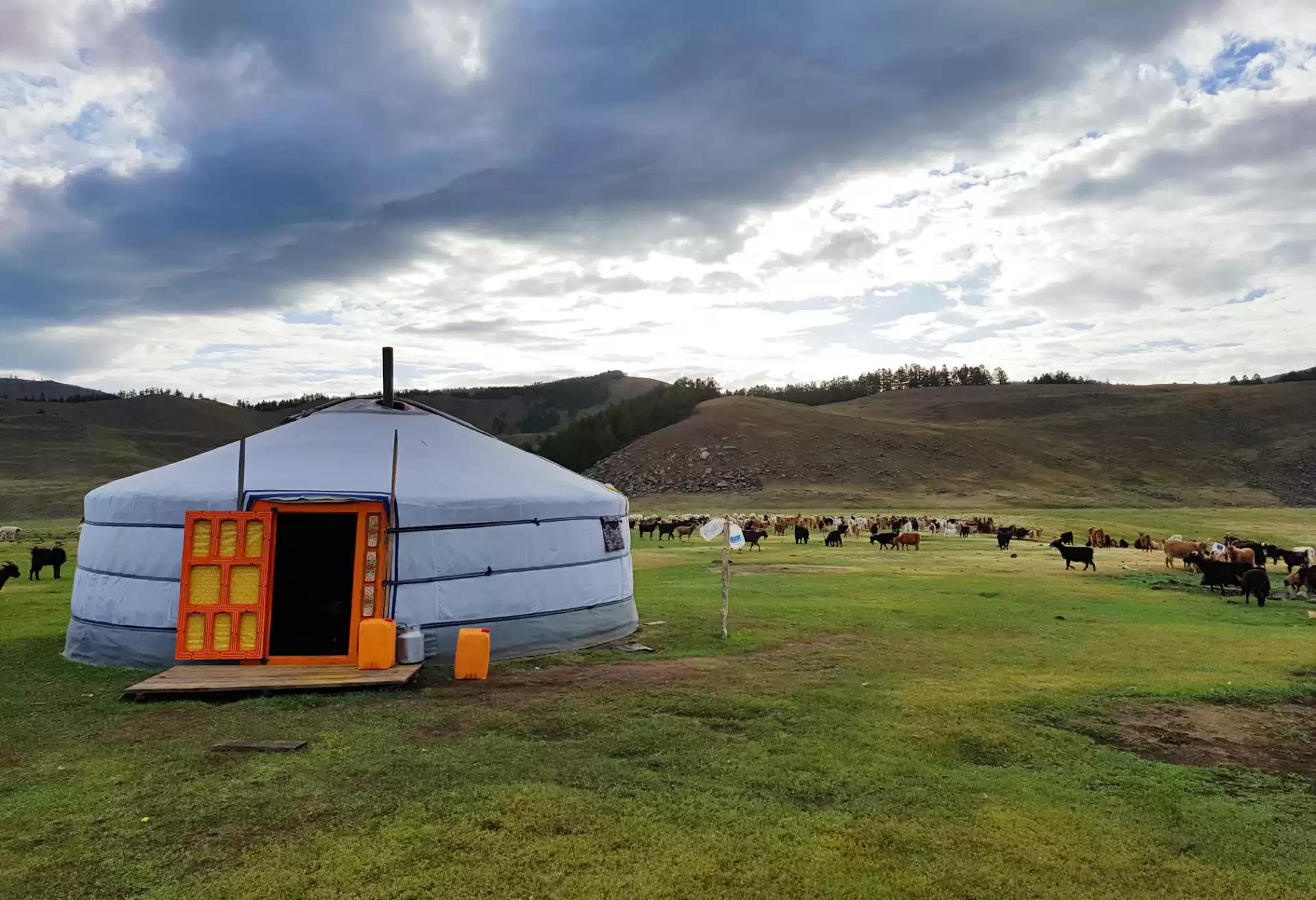 Yurt Ger Host At Eight Lakes Nomadic Family