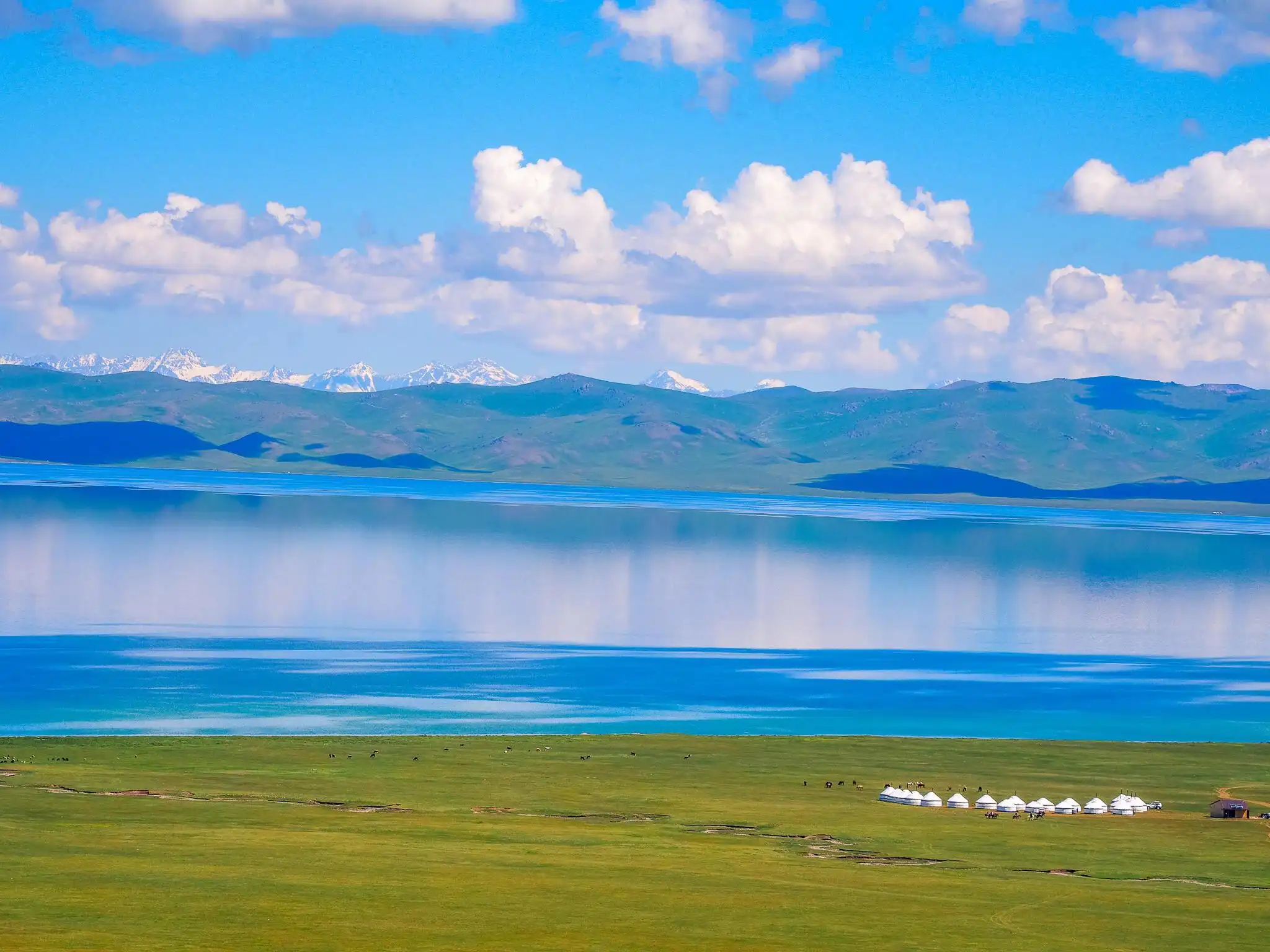 Gobi And Western Mongolia 21 Days