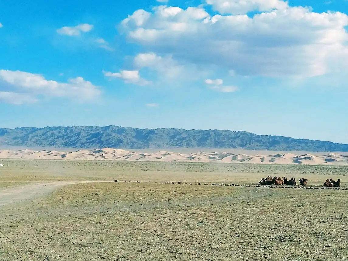 Gobi In A Week
