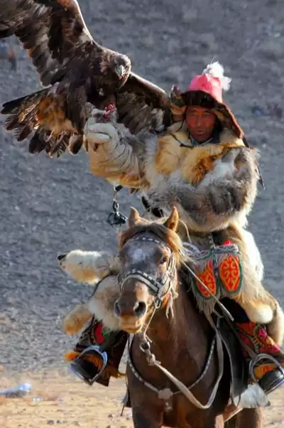 Golden Eagle Festival Tour In Western Mongolia