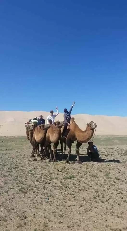 Golden Gobi & The Best Of Central Mongolia