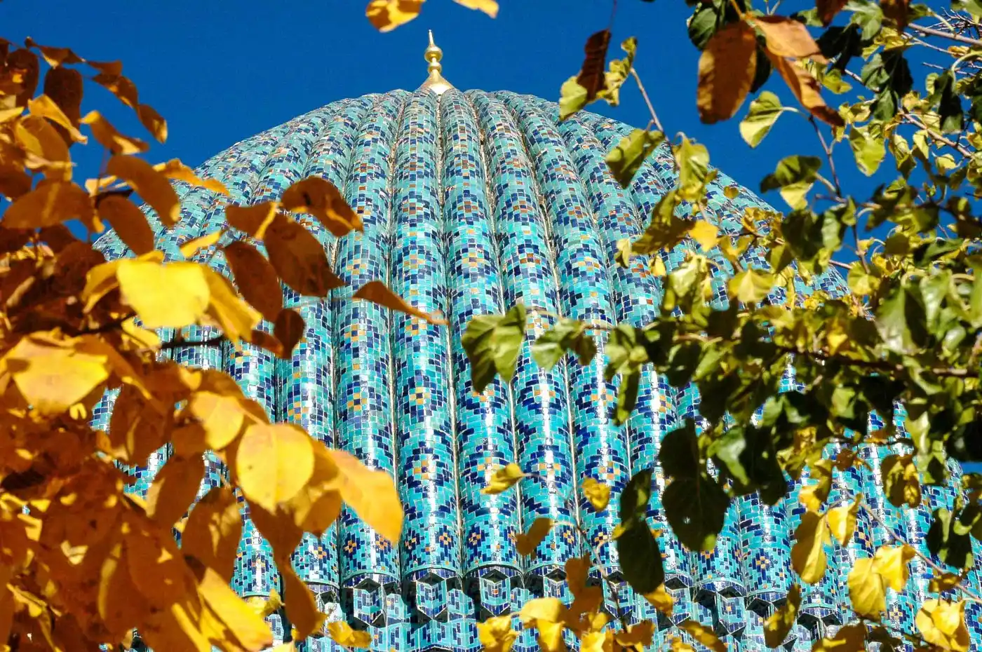 Golden Triangle Of Central Asia