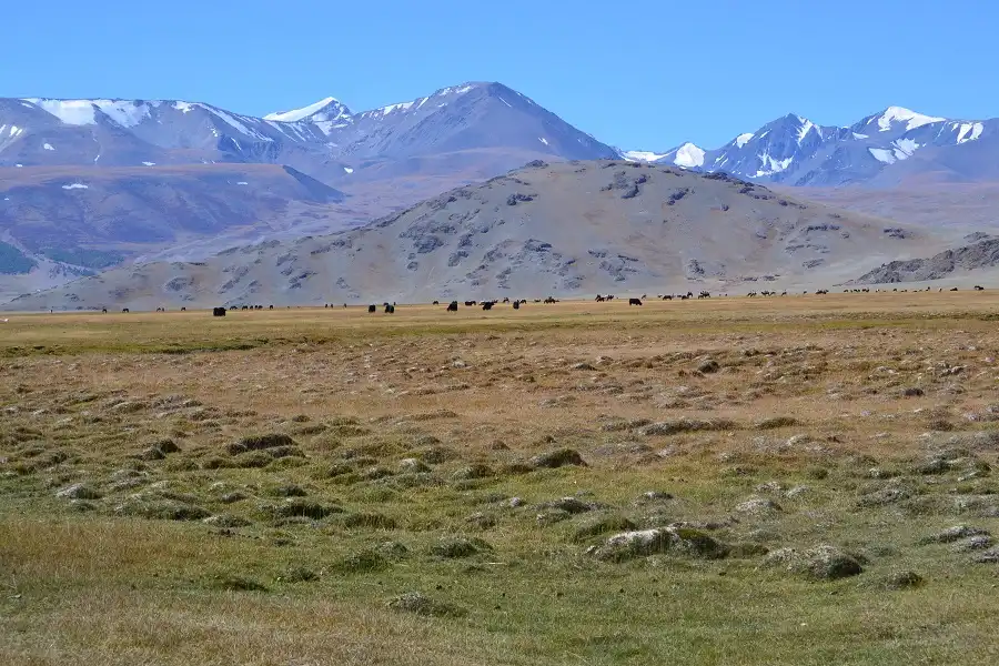 Highlight Tour To The Altai In A Week