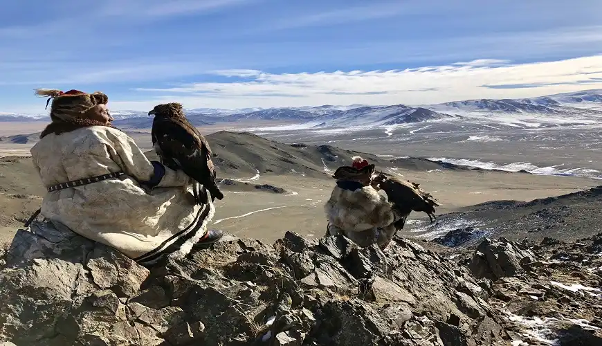 Golden Eagle Hunting & Wild Life Watching
