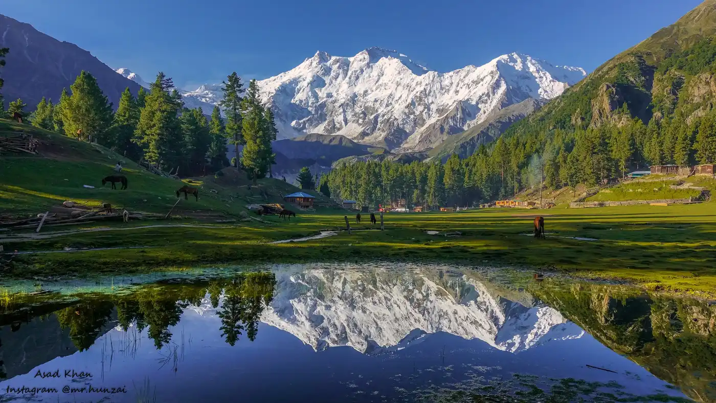 Hunza And Nanga Parbat Basecamp Sightseeing Trekking