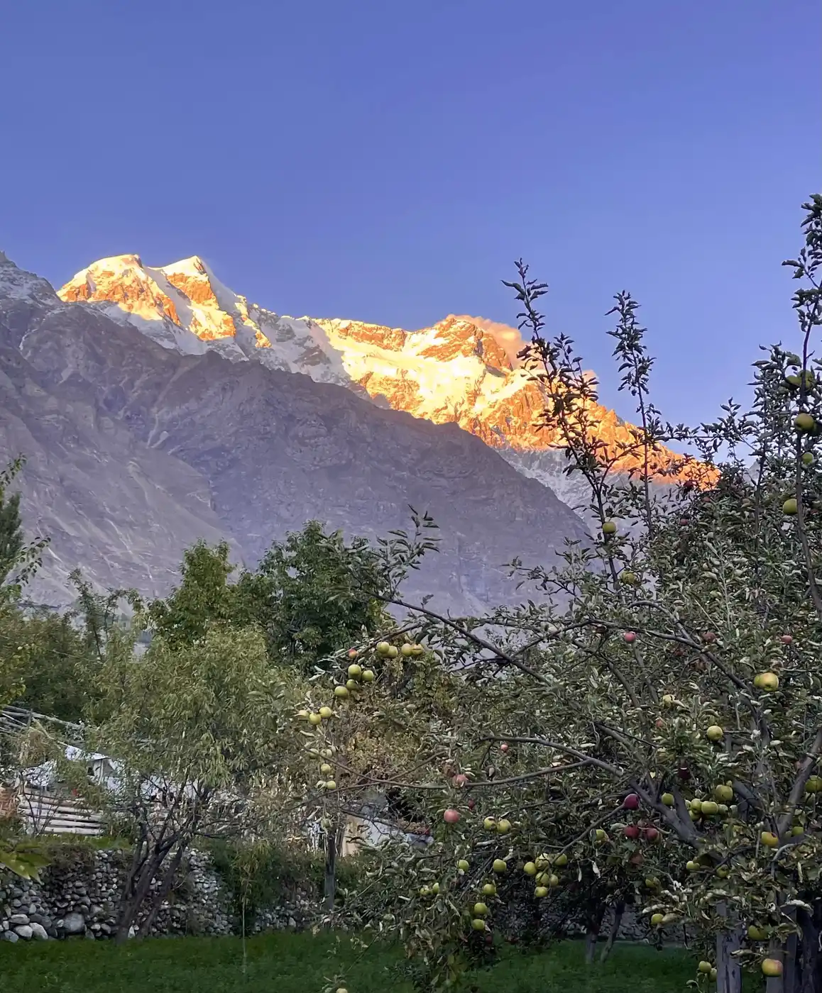 Hunza Tour - 5 Days