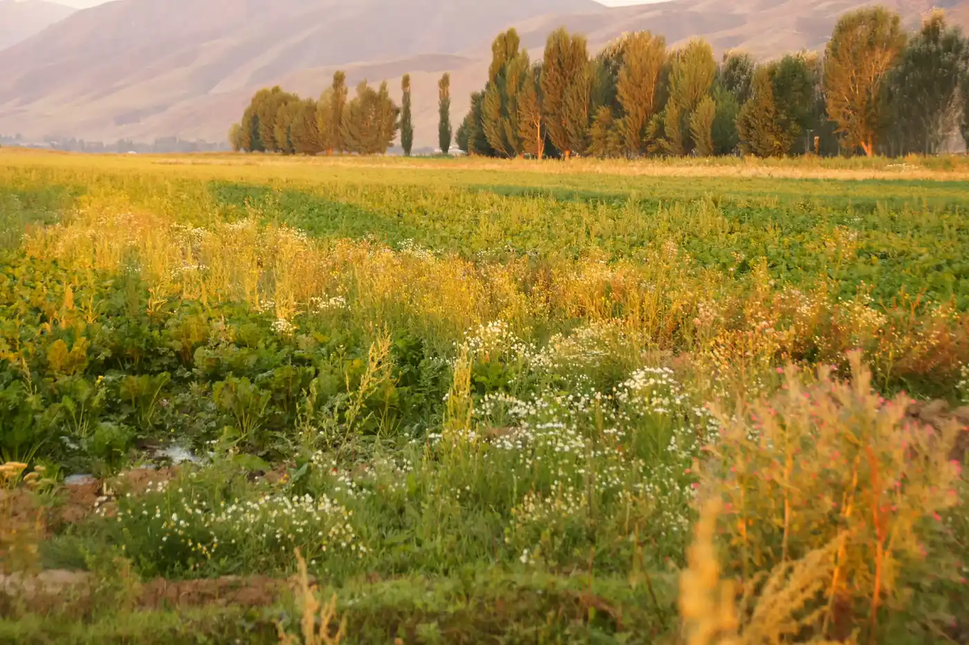 Issykkul Lake -Pearl Of Kyrgyzstan 4D3N