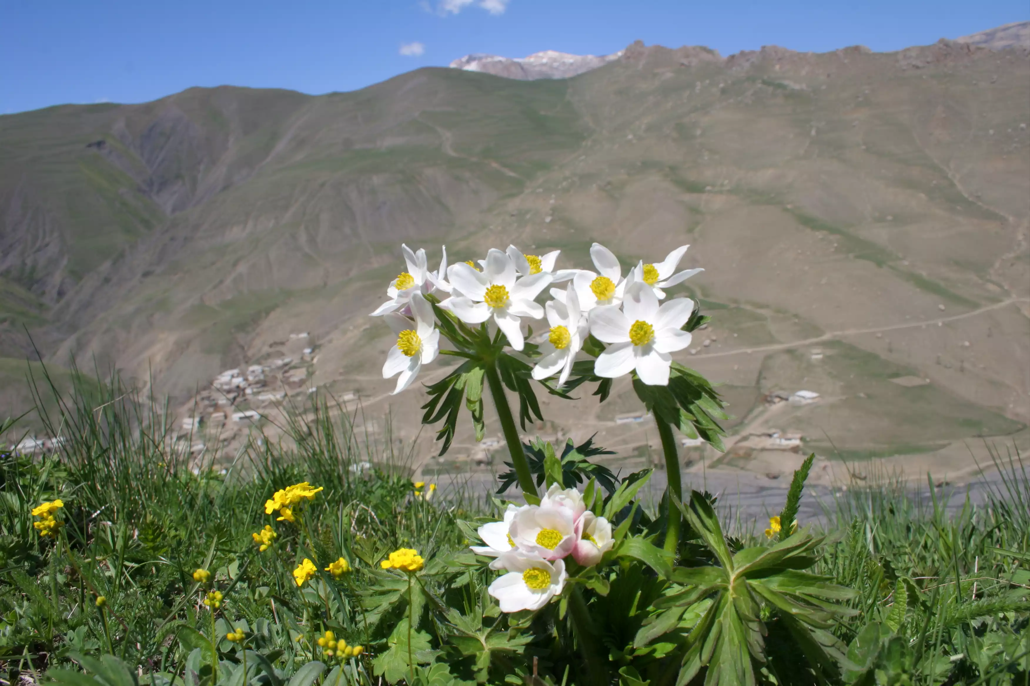 Khinaliq  Noahs Village
