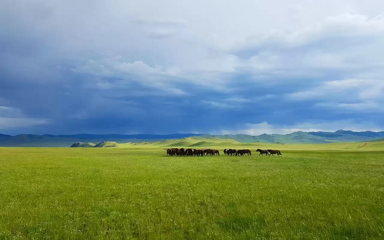 Khuvsgul Lake Central Part To Gobi Desert  14 Days