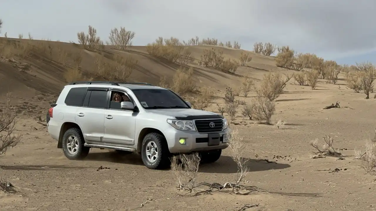 Land Cruiser 200 Series