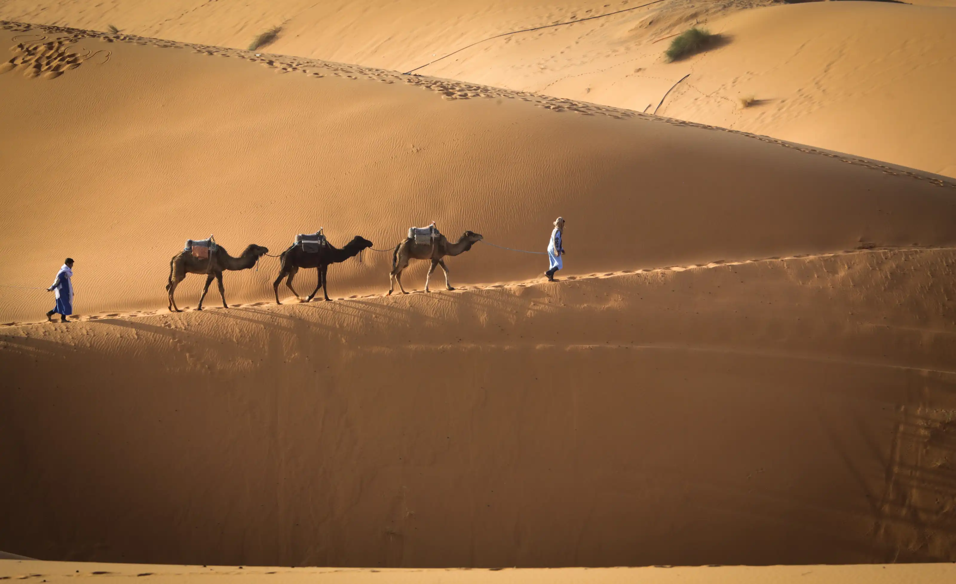 Marrakech To Fes 3 Days Desert Tour