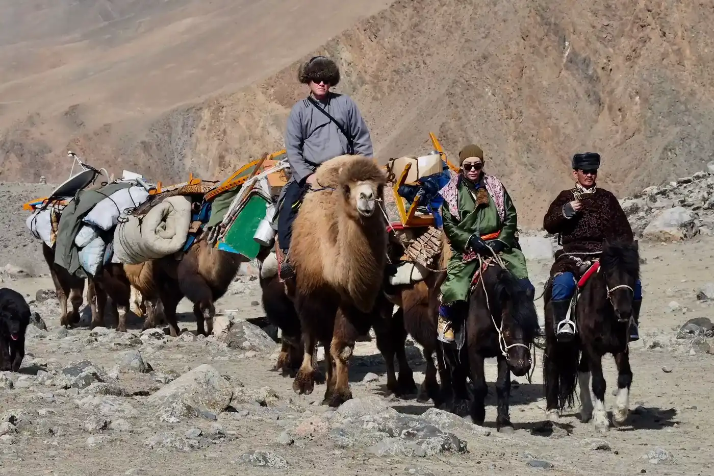 Migration With Nomads And Golden Eagle Festival