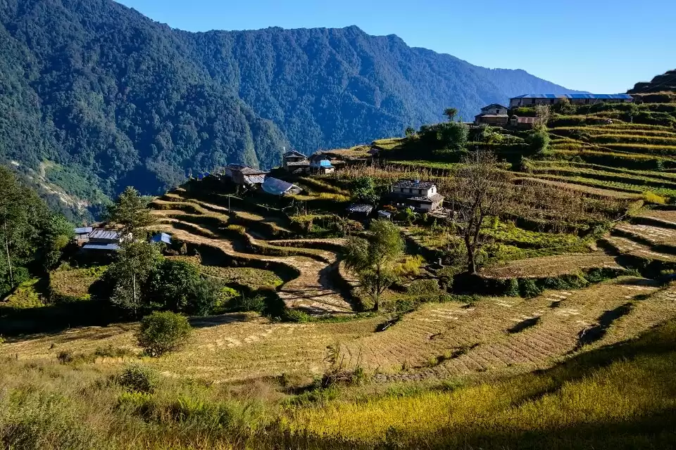 Mohare Hill Trek