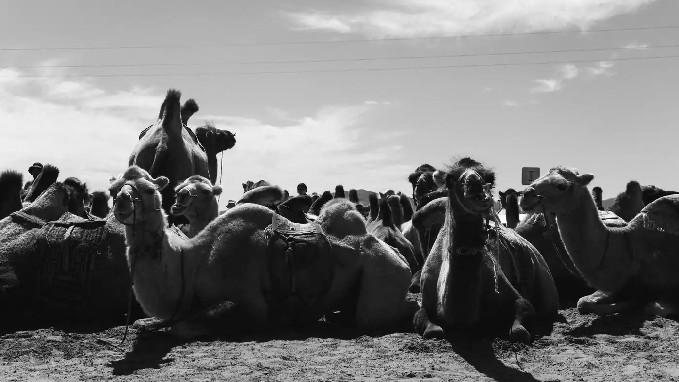 Mongolia 4 Day Tour