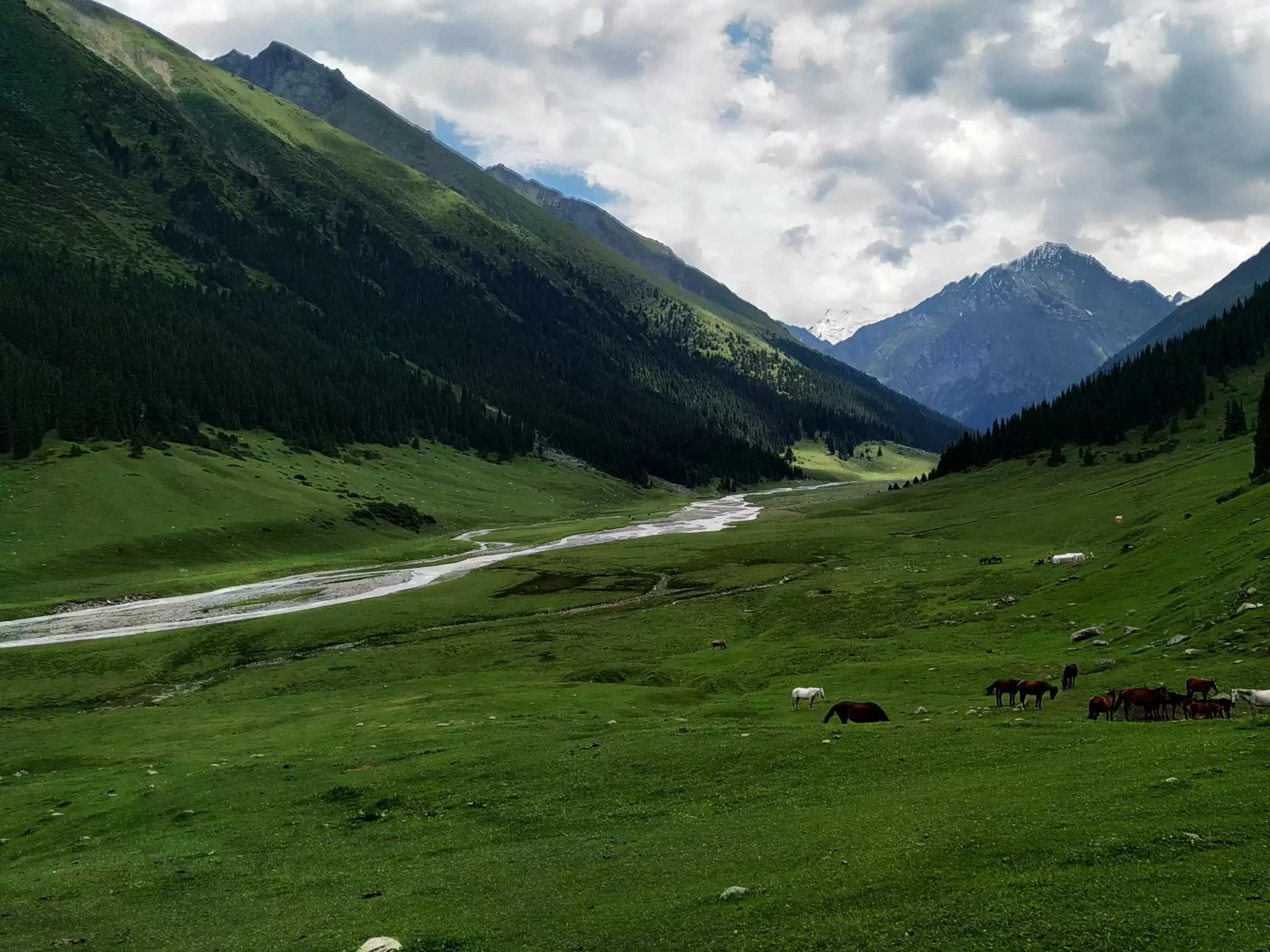 Multi Active Tour Through Wild Nature