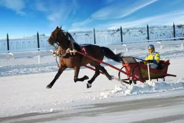 7 Days 6 Night Winter Kyrgyzstan