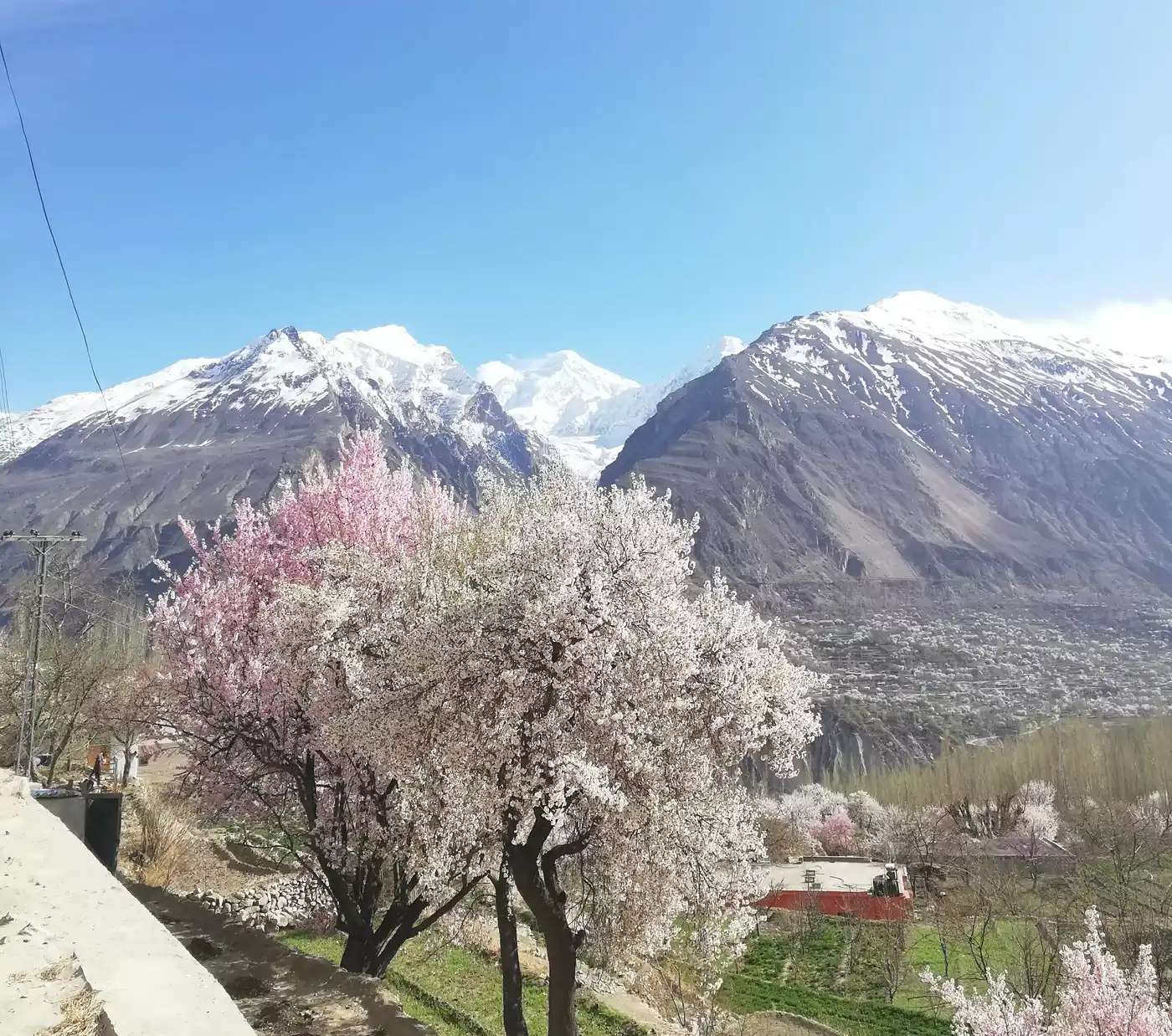 Blossom Tour To Hunza Valley 8d-7n