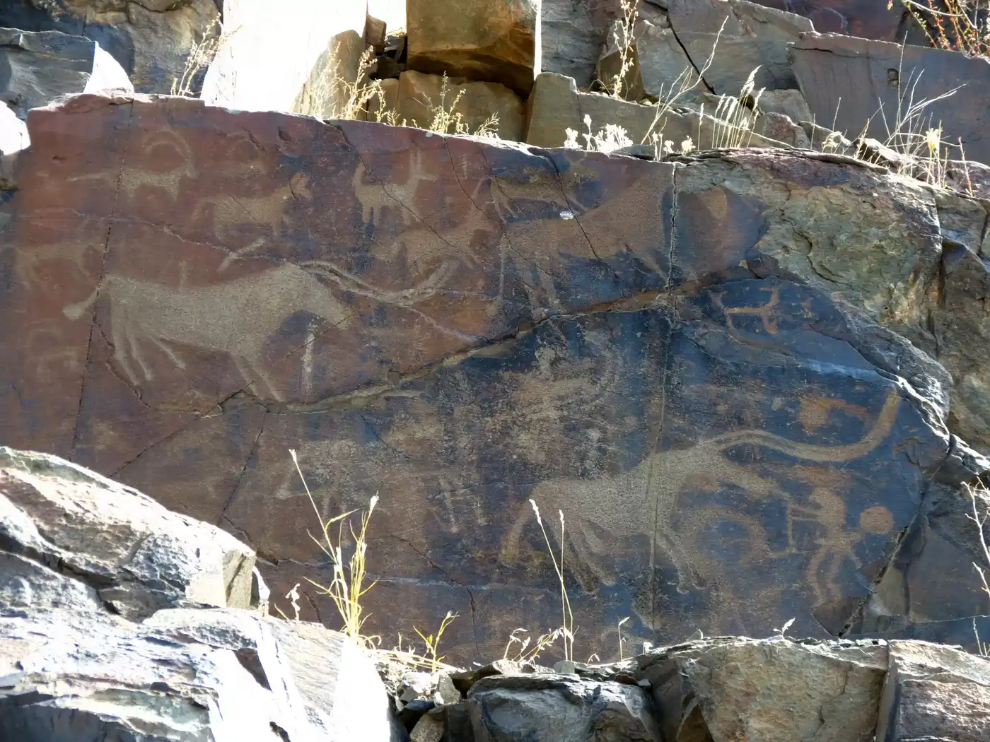 Petroglyphs Of Tamgaly