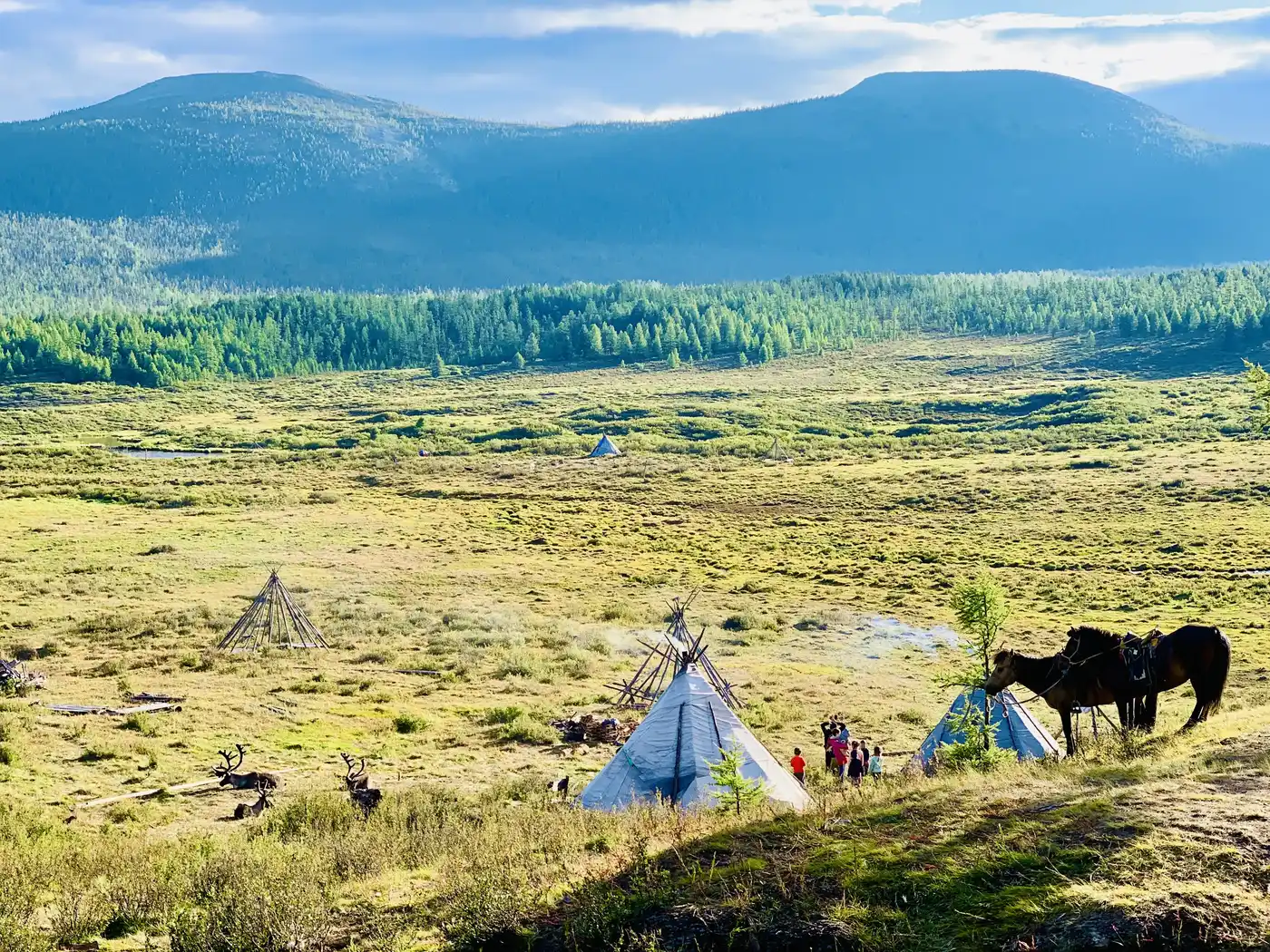 Reindeer  Tour