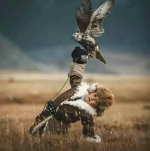 Reindeer Herder Altai Goldeneagle Gobi Desert