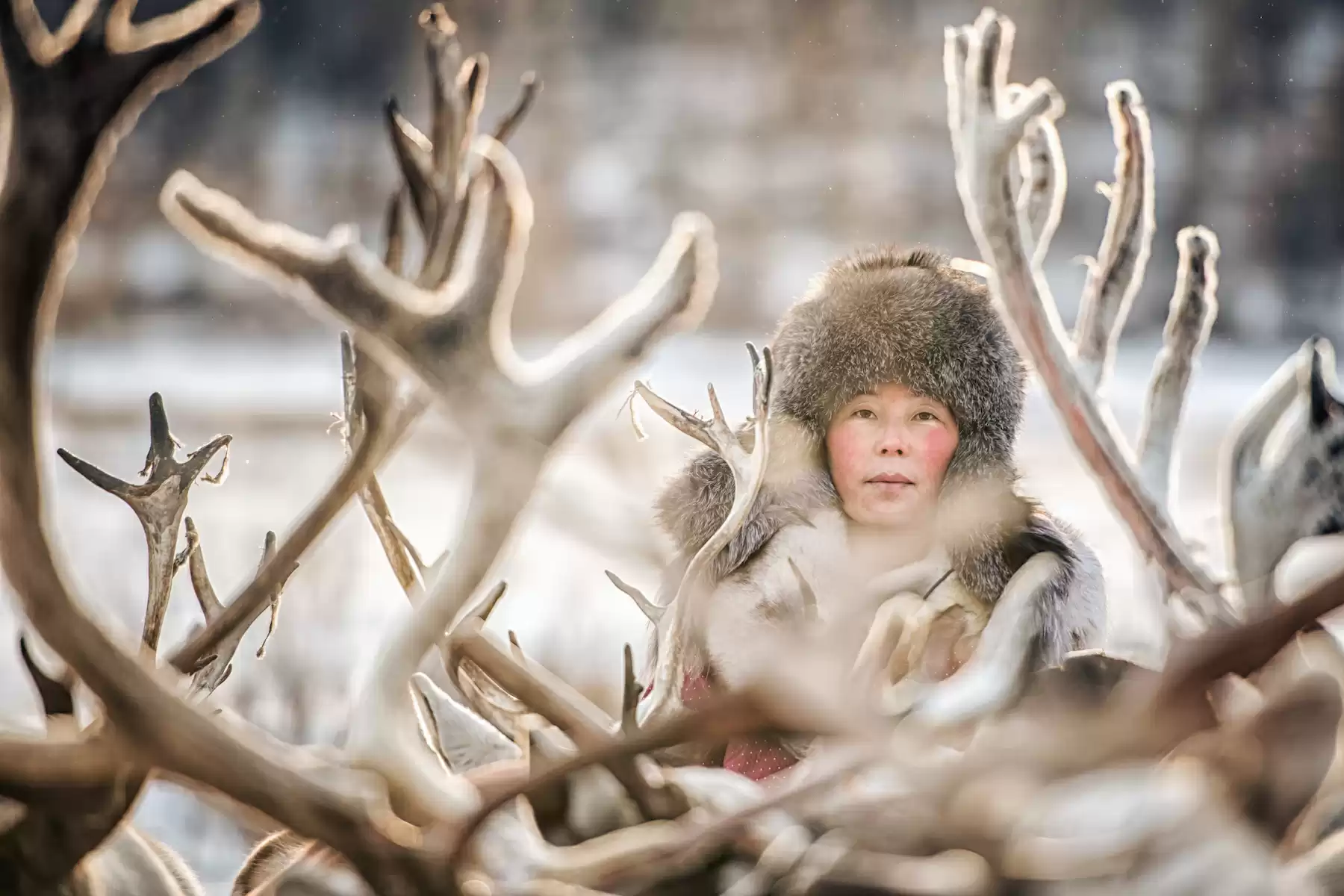 Reindeer Herder Family Photography Tour