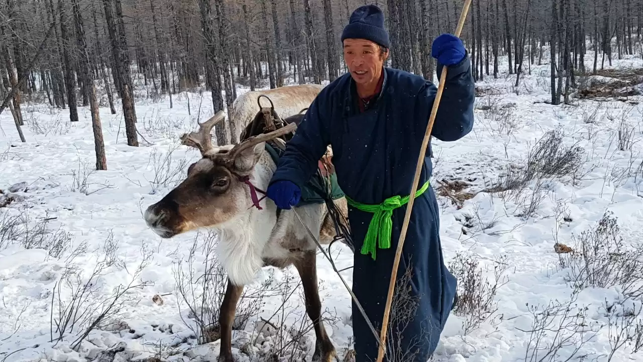 Reindeer Herders Of Mongolia Horse Trek In Taiga 8 Day