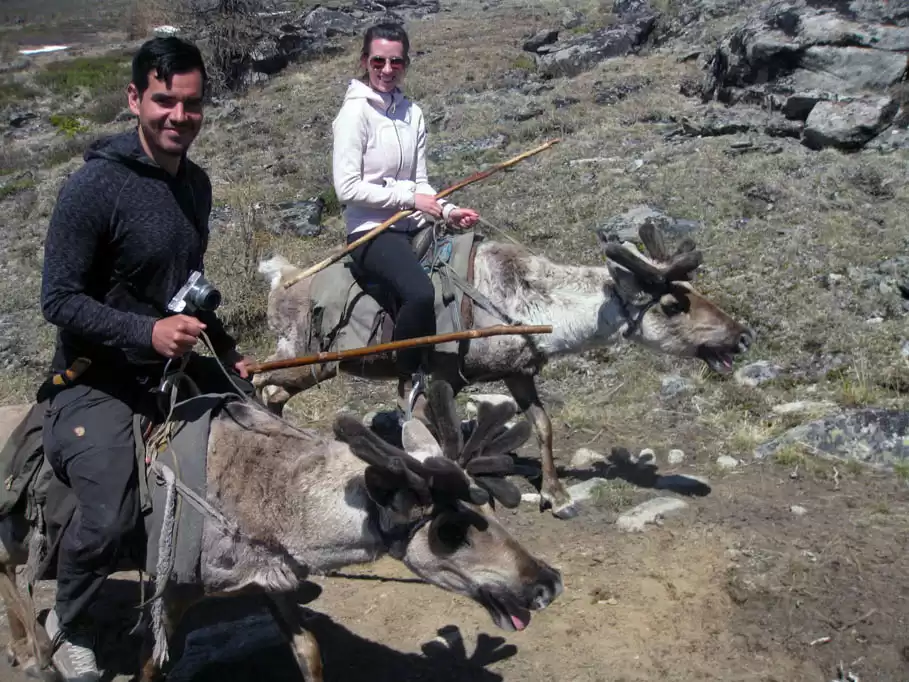 Reindeer People Tour