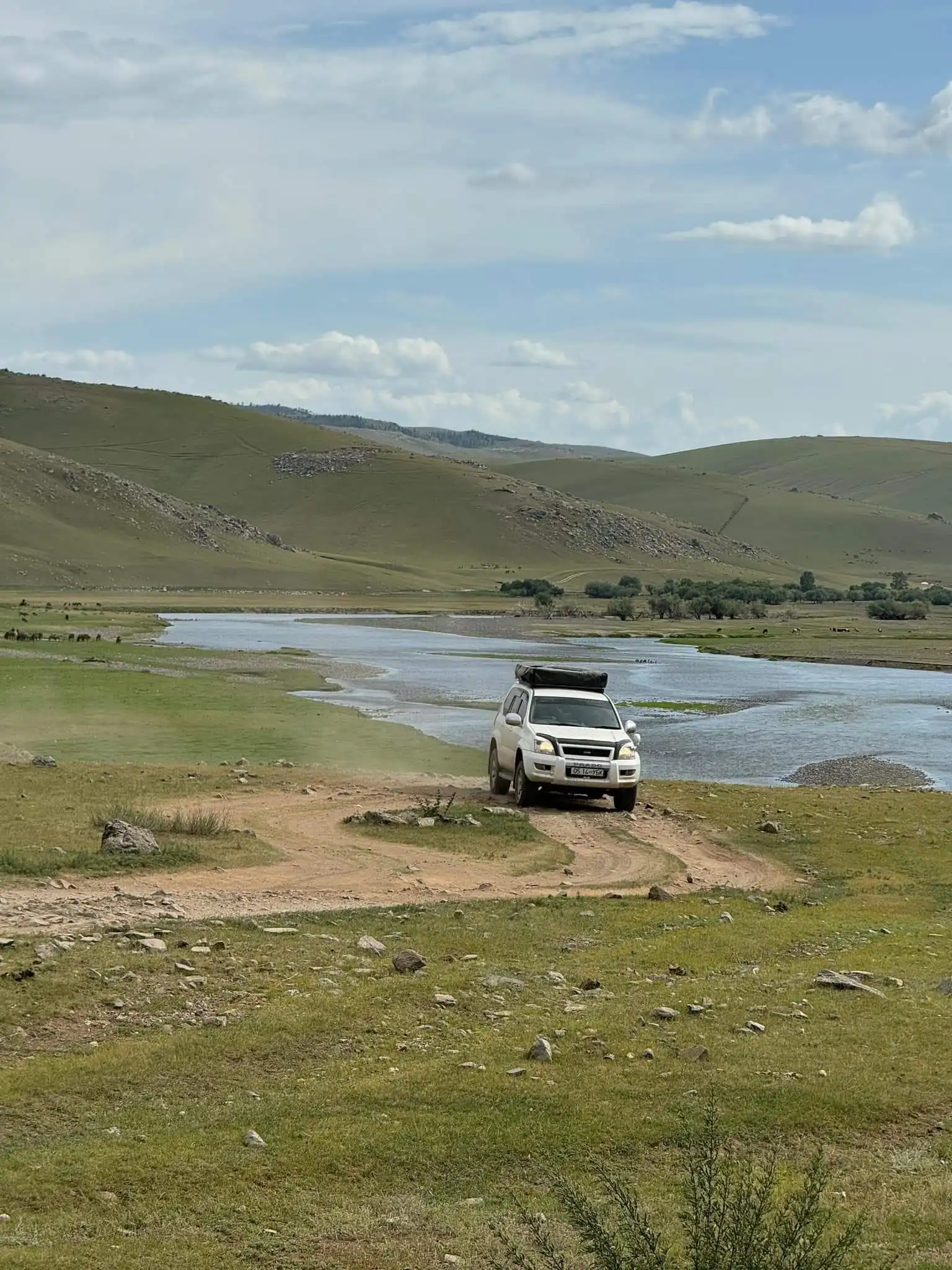 Rental Car 4x4 Prado 120 In Mongolia