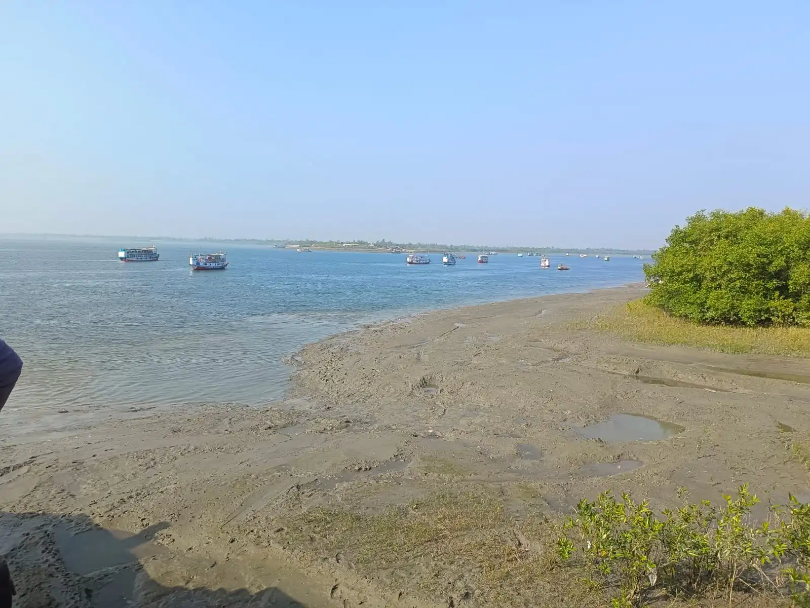 Royal Bengal Delta: Unique Mangrove Eco-tour