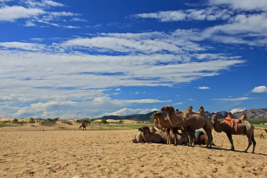 Sand Dune And Central Mongolia Tour