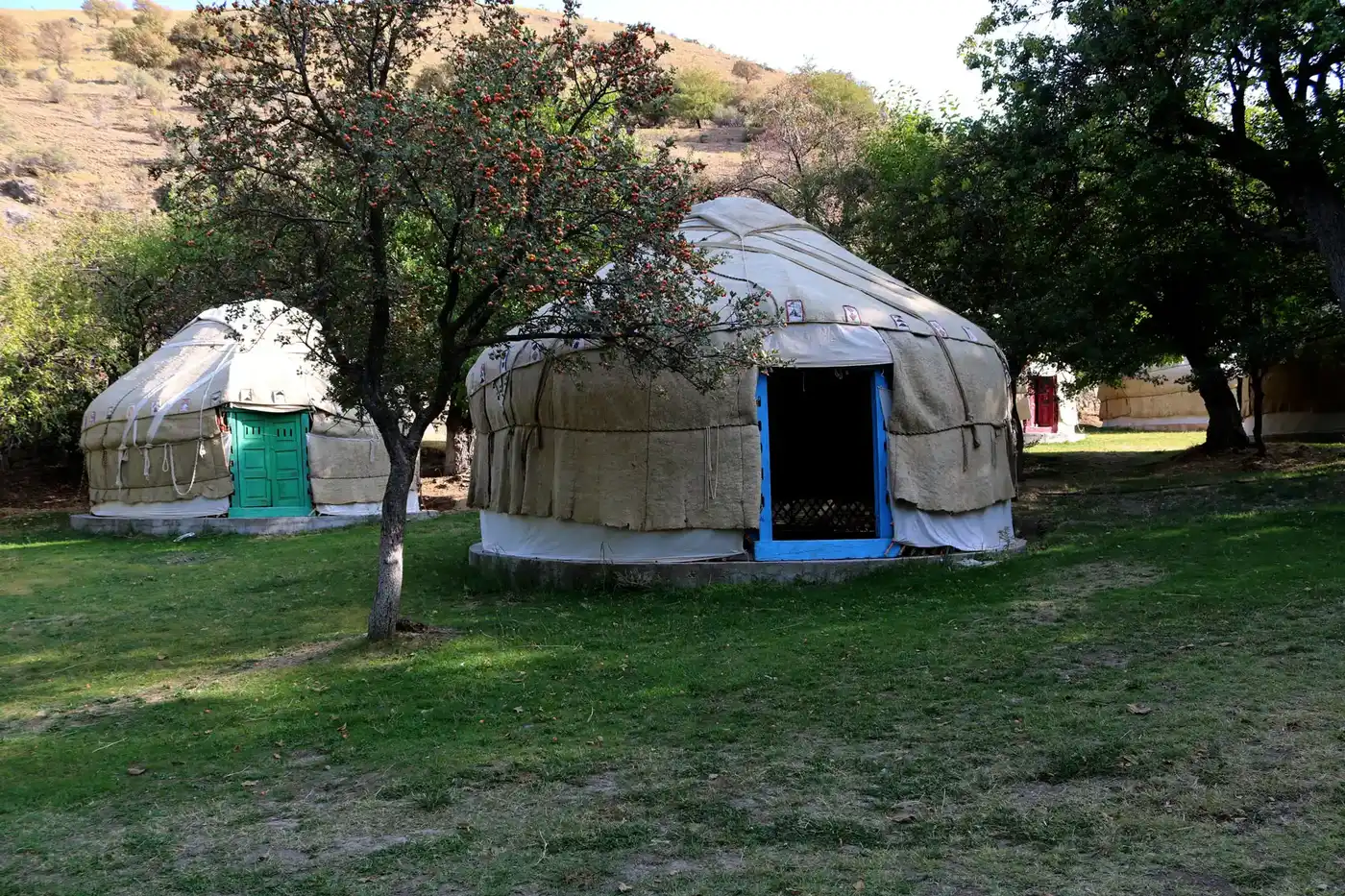Sayyod Yurt Camp