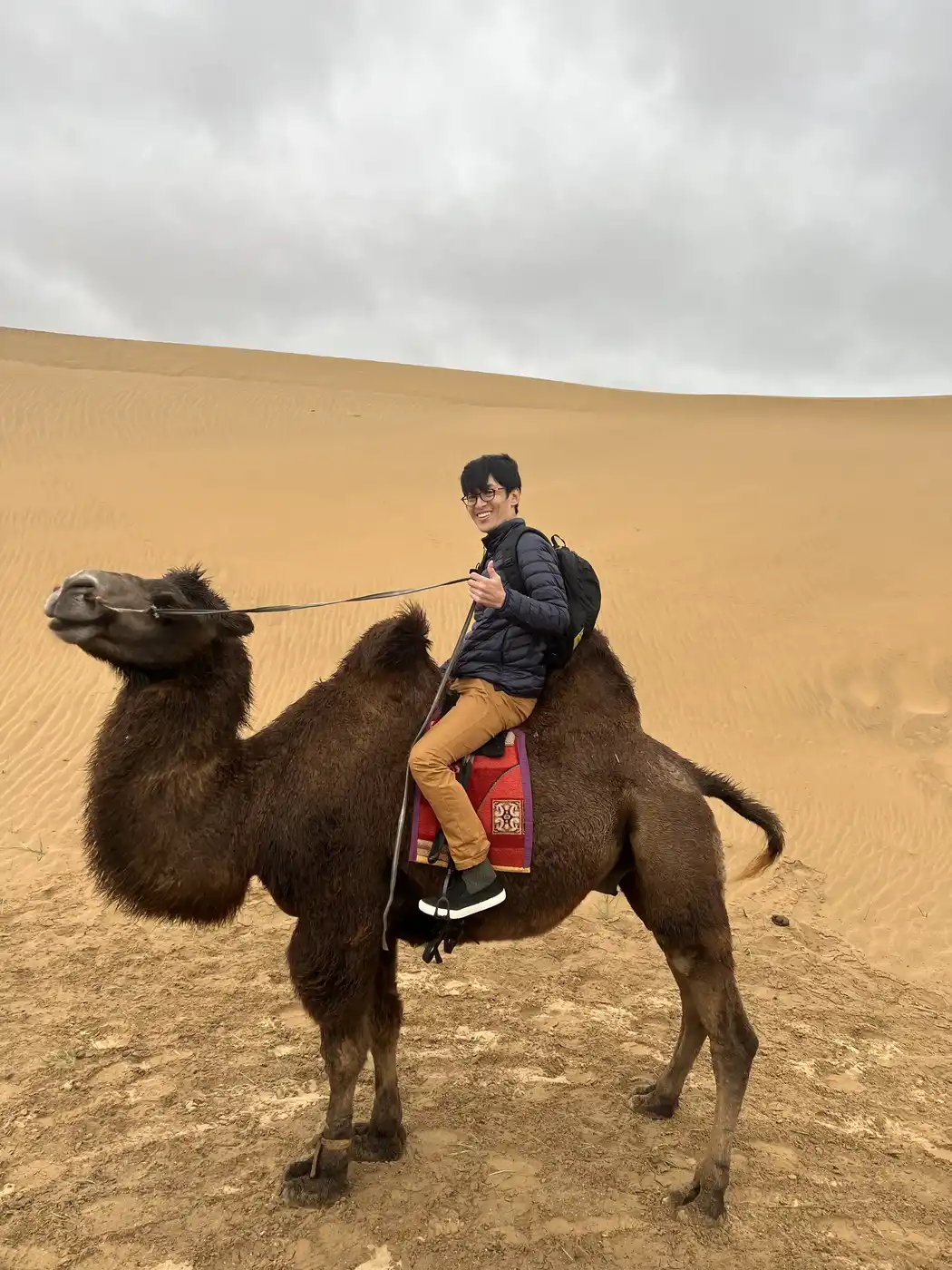 Semi Gobi 2 Days Tour Riding Camel