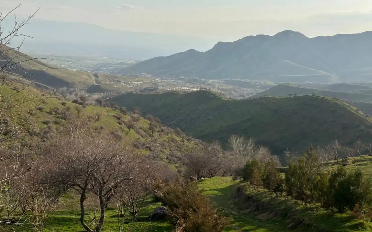 Shakhrisabz In One Day Guided Sightseeing Tour From Sa