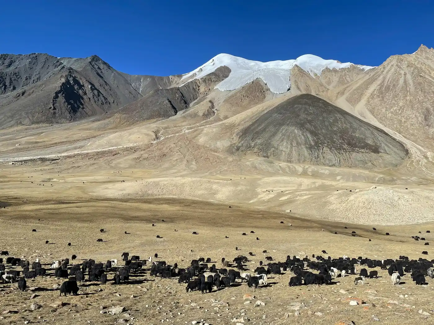Shimshal Pass Trek & Minglik Sar Exp
