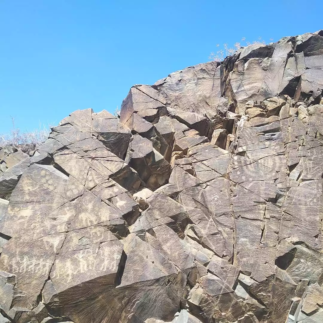Tamgaly Petroglyphs Tour