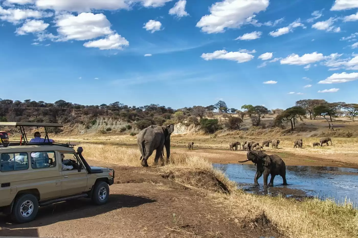Tanzania Camping Safari