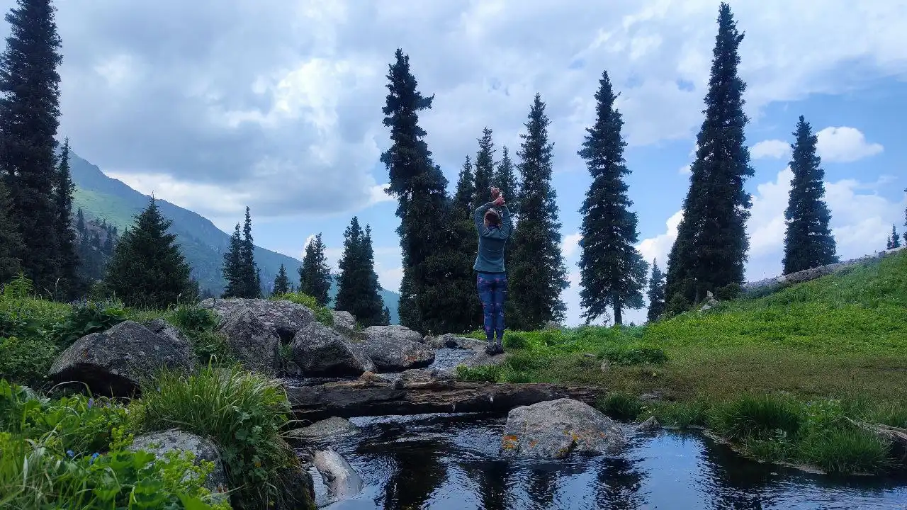 Terra Glade - Forestry Trail In Almaty Mountains