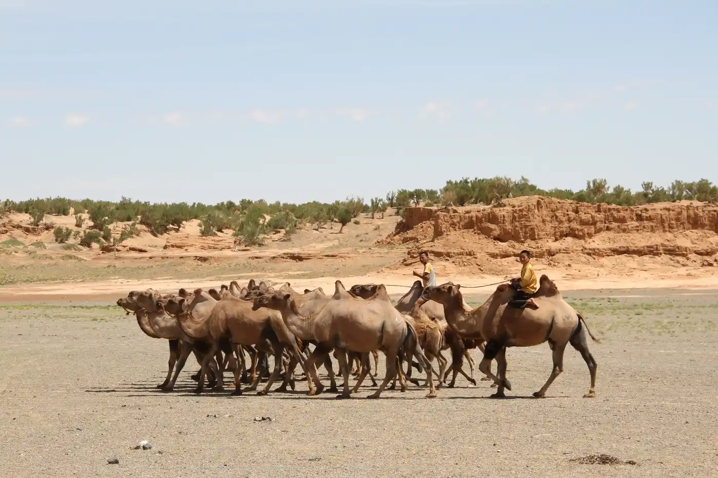 The Gobi Adventure