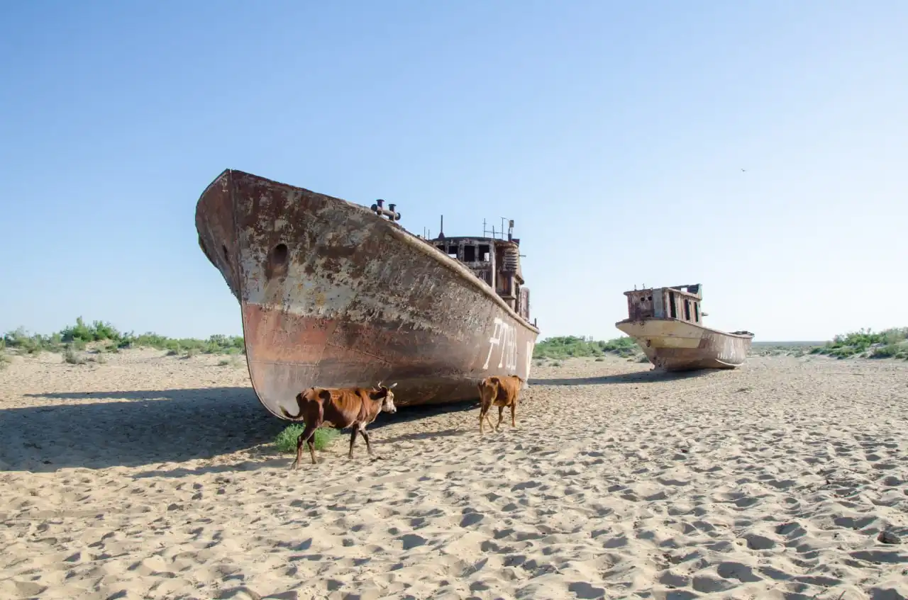 The Vanishing Sea & The Forgotten Cities