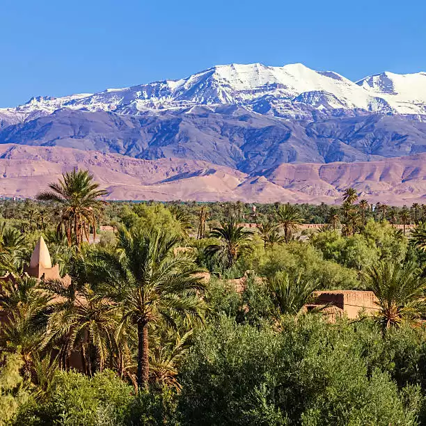 Tour 14 Days From Casablanca