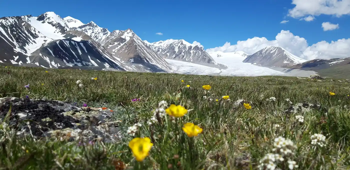 Tour To Altai Tavan Bogd National Park