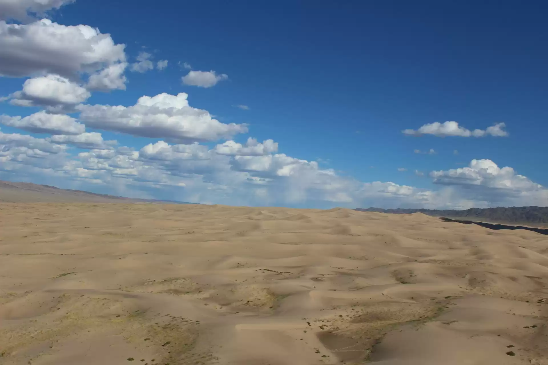 Tour To Gobi Desert