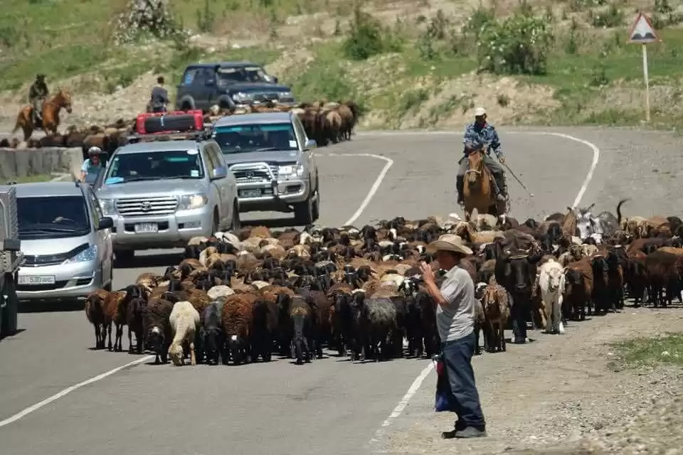 Toyota Sequoia Rent Self Drive Kyrgyzstan