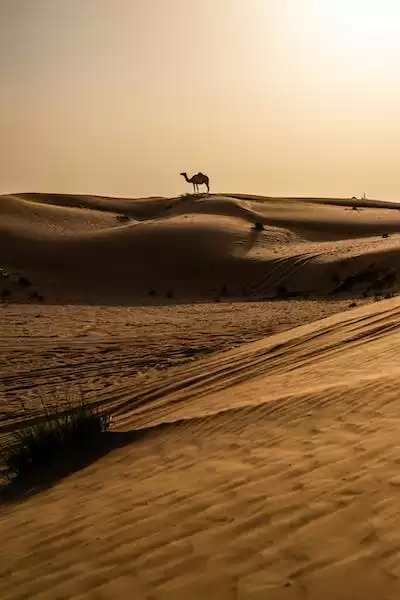 Trekking Sahara Morocco