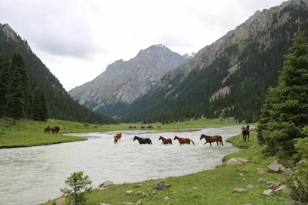 Ala-kol Lake Trekking Open Groups For 2026