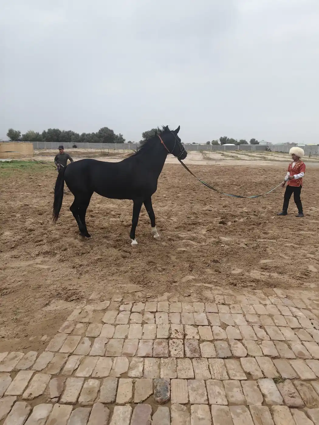 Turkmenistan Best Itinerary Ashgabat  7 Days 6 Nights