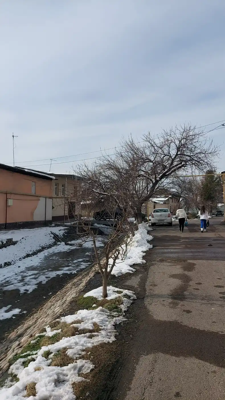 Walking Tour Around Silk Road City Shymkent