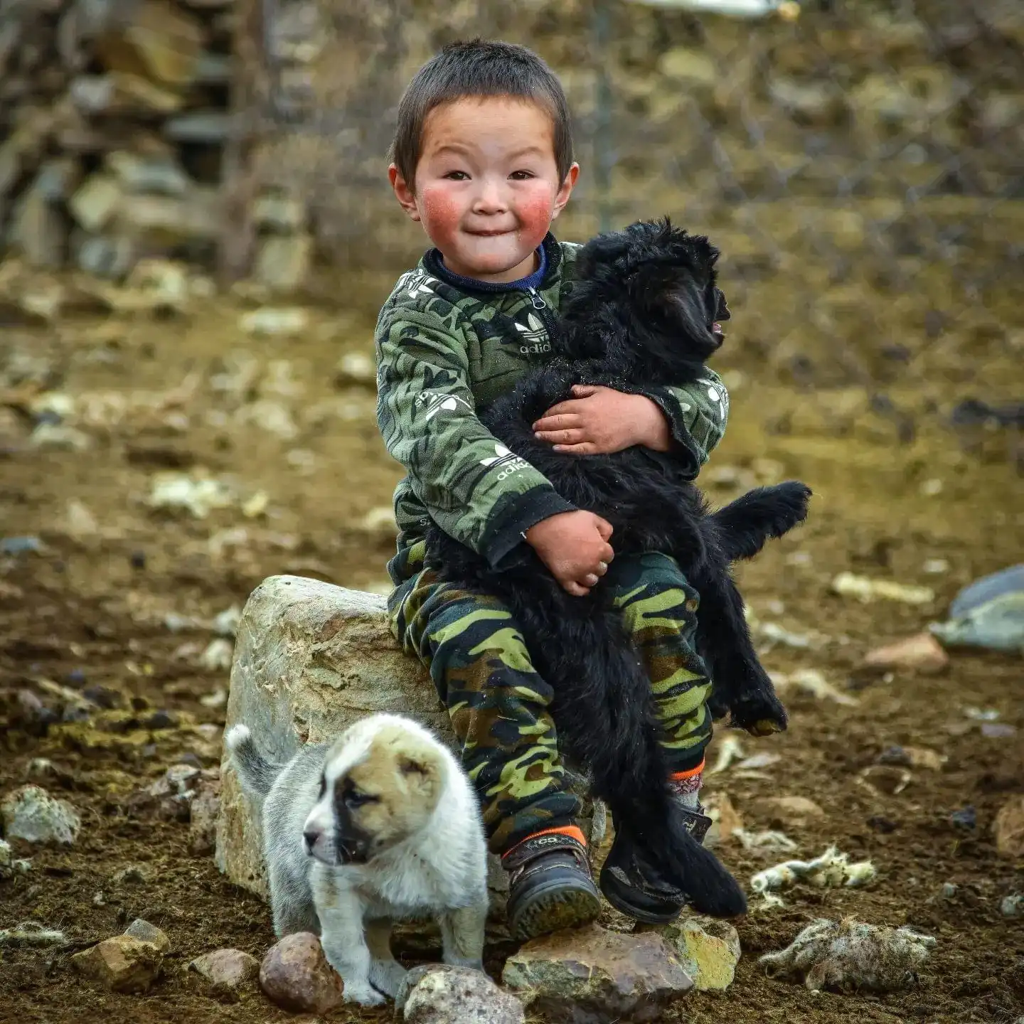 Wildlife Photography Tour In Altai Mountains